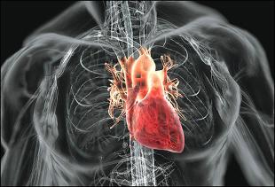 Szív-érrendszeri betegségek